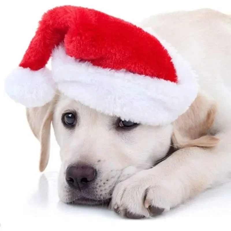 Chapeau de père noël pour anim - Santa Hat Plush avis et prix