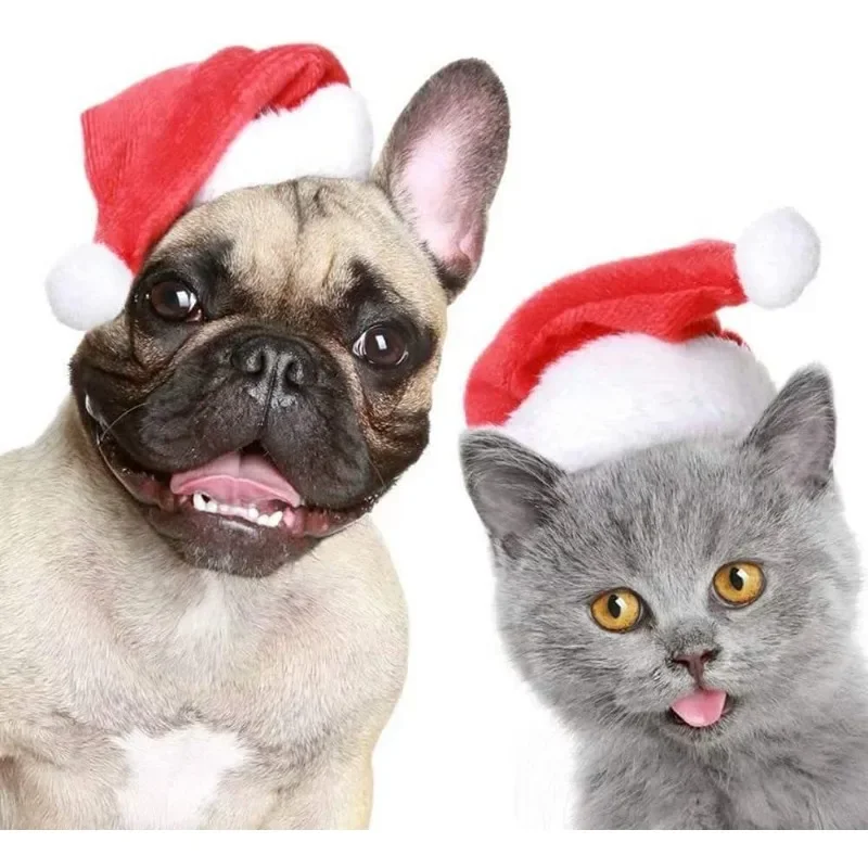 Chapeau de père noël pour anim - Santa Hat Plush avis et prix
